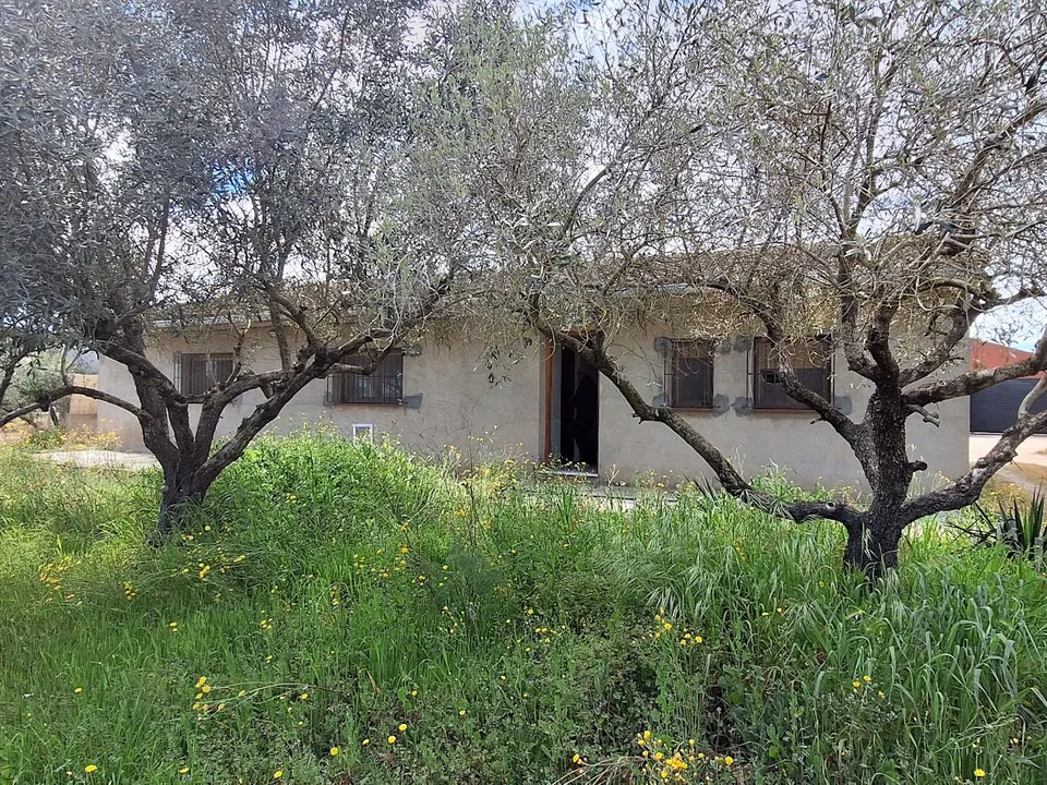 Finca i Mora D'ebre, Tarragona - foto 2